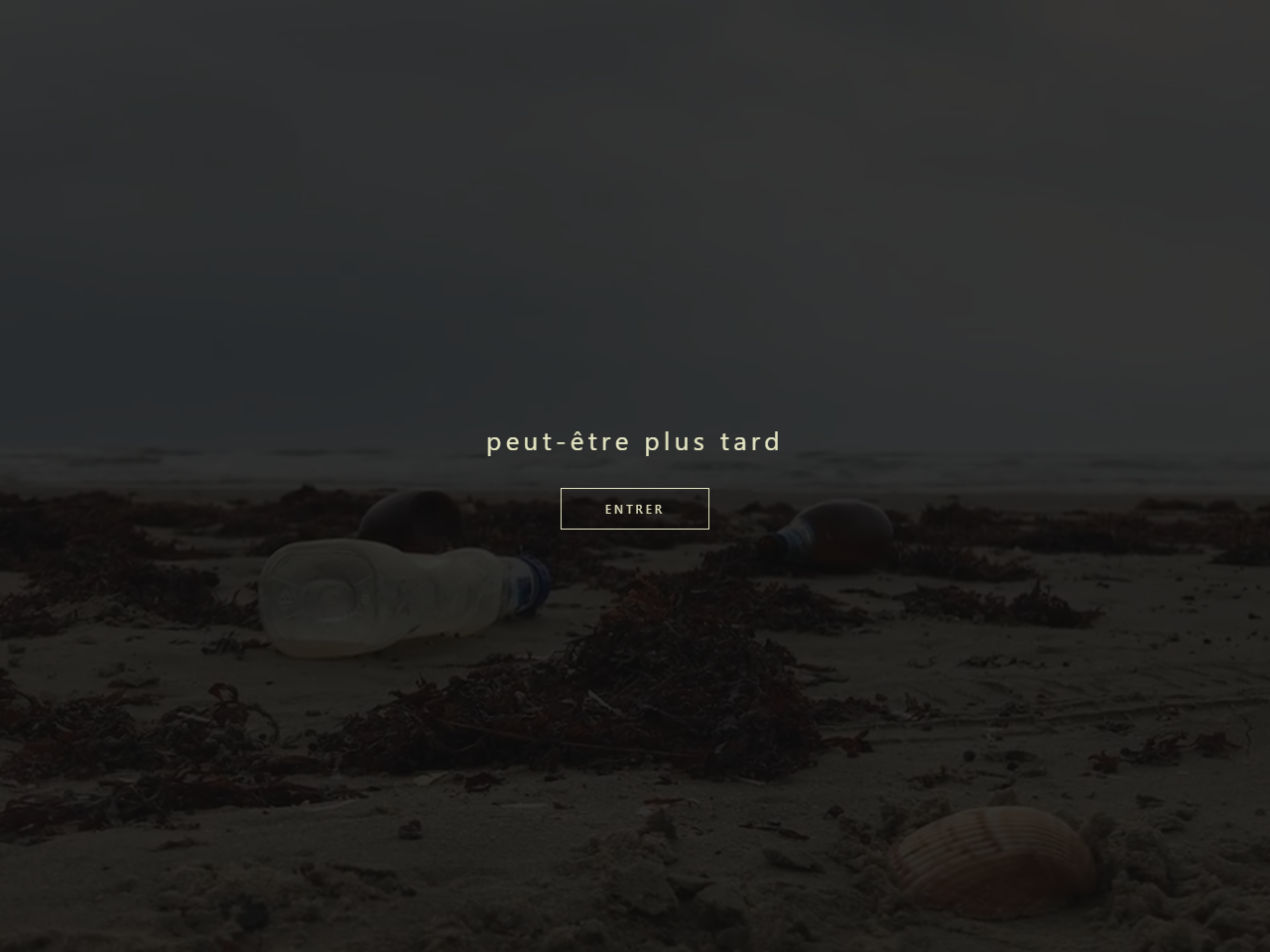 Aperçu de Peut-être plus tard